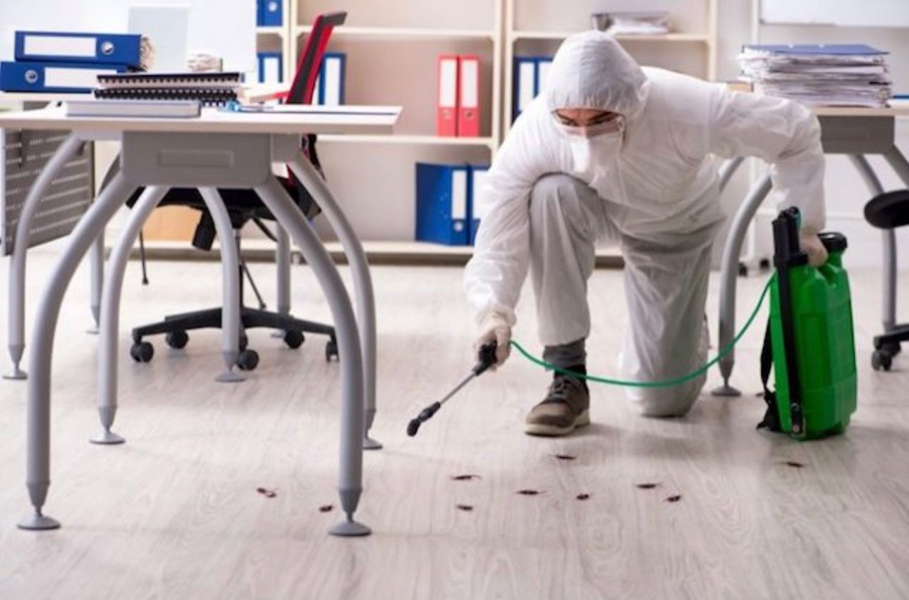 Professional Pest Control Services